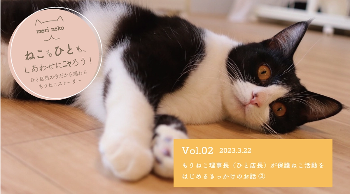 ねこもひとも、しあわせにニャろう！Vol.2