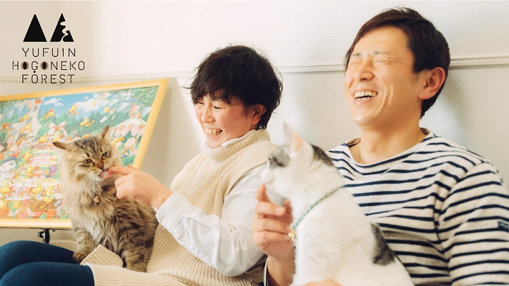 湯布院の森に、「保護猫」を主役にした体験型テーマパークを作りたい！ 2枚目