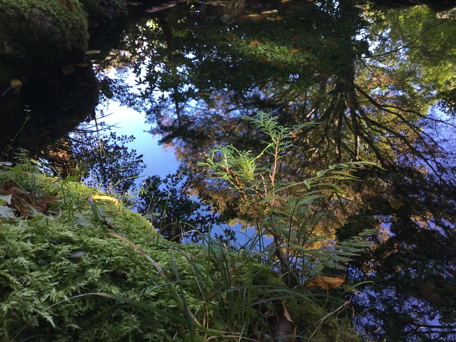 【残り9日‼】おすすめのご支援コース紹介①