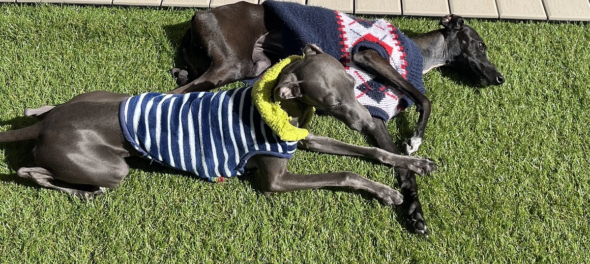 天気がいい日は☀️