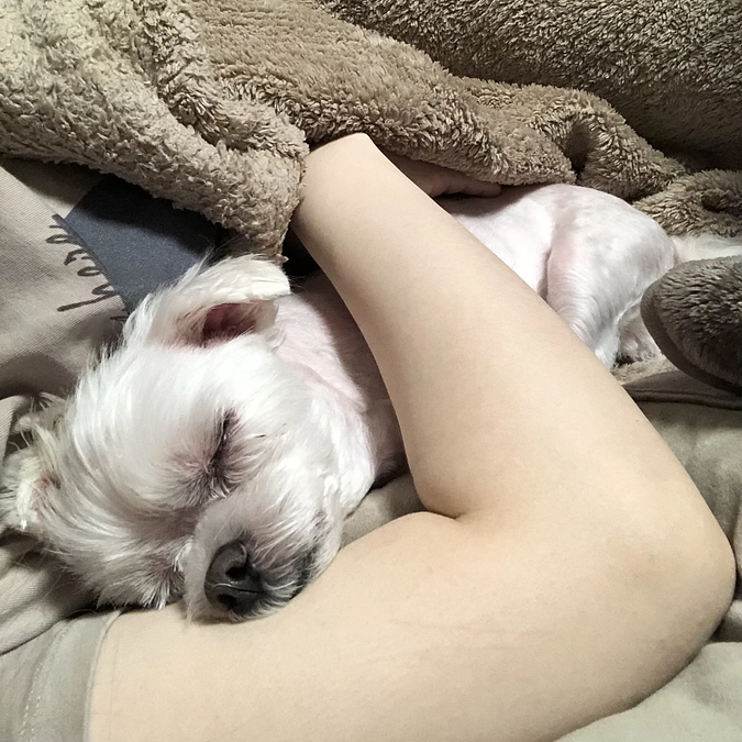 8/21のパフ太(*^_^*)