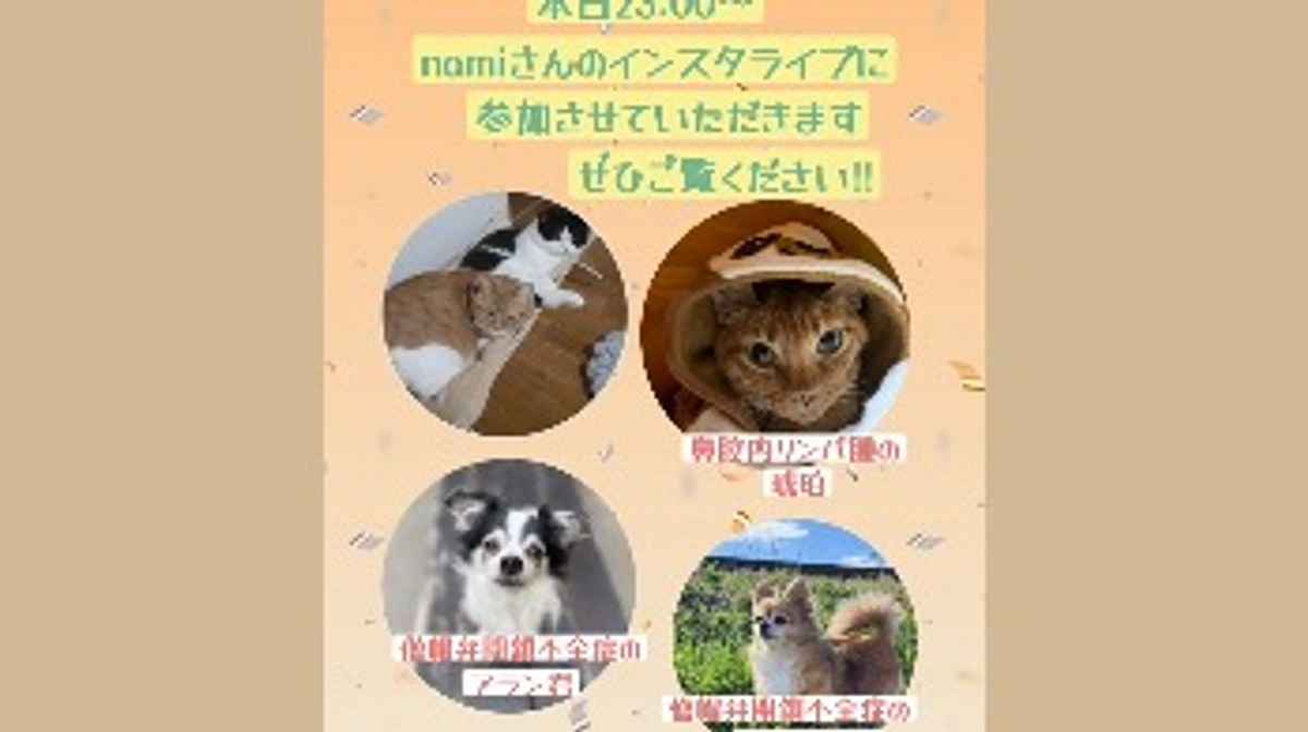 6／17   インスタコラボライブに参加させていただきました