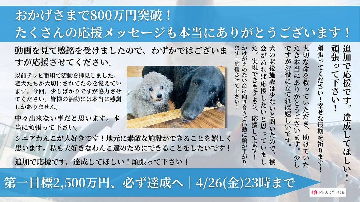 皆様のお力添えで800万を達成しました！！