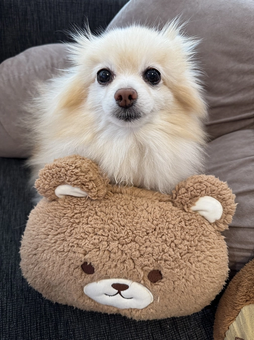 今朝のちゅらです