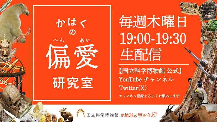 国立科学博物館 オリジナルグッズ 標本アクリルスタンド全10種 ...