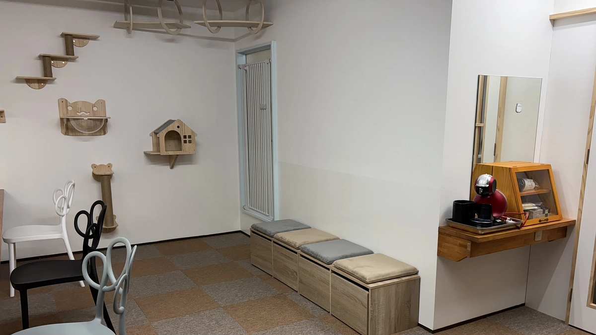 本日、厚生センターの審査でした🐾