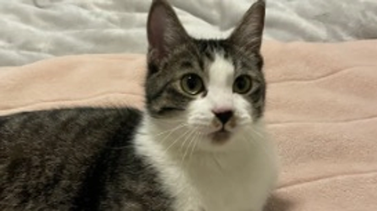 SNSで呼びかけてみました