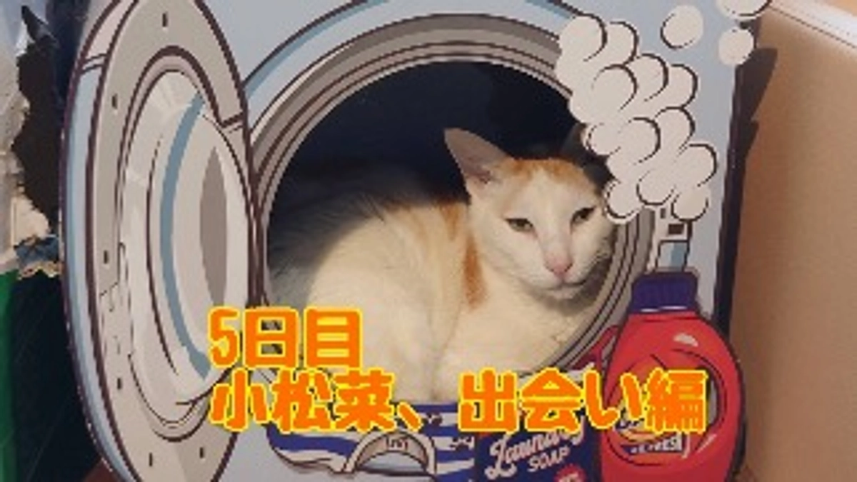 5日目 小松菜との出会いのお話。