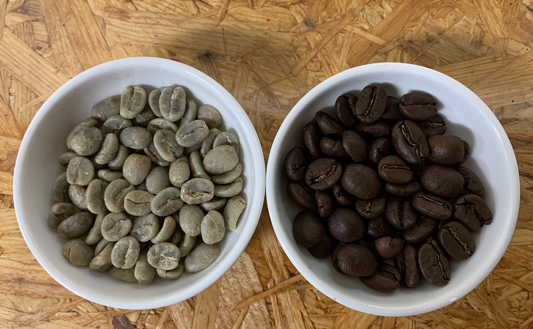 家庭焙煎生豆200g+幻のコーヒー200g　　