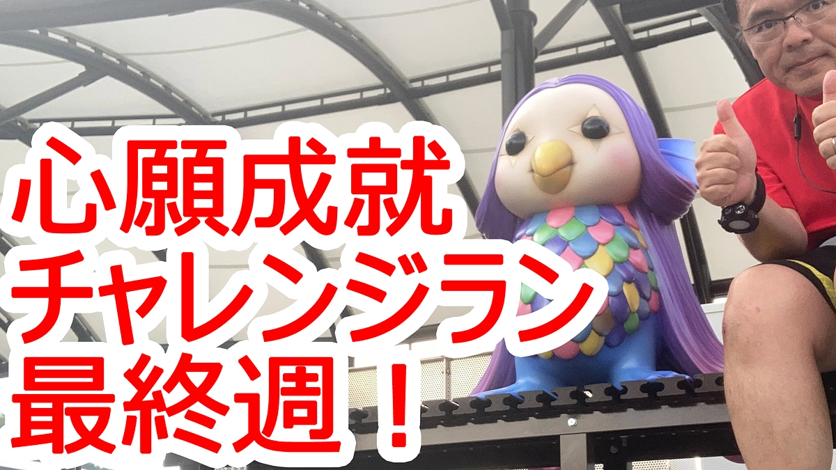 心願成就チャレンジ！356キロランと10キロダイエット(*^-^*)　最終週のご報告