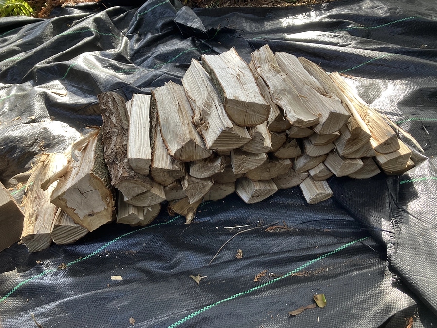 R7.2.21 体験学習の感想を頂きました＆新しい引受林の登記簿が届きました＆森林学習講話の予定