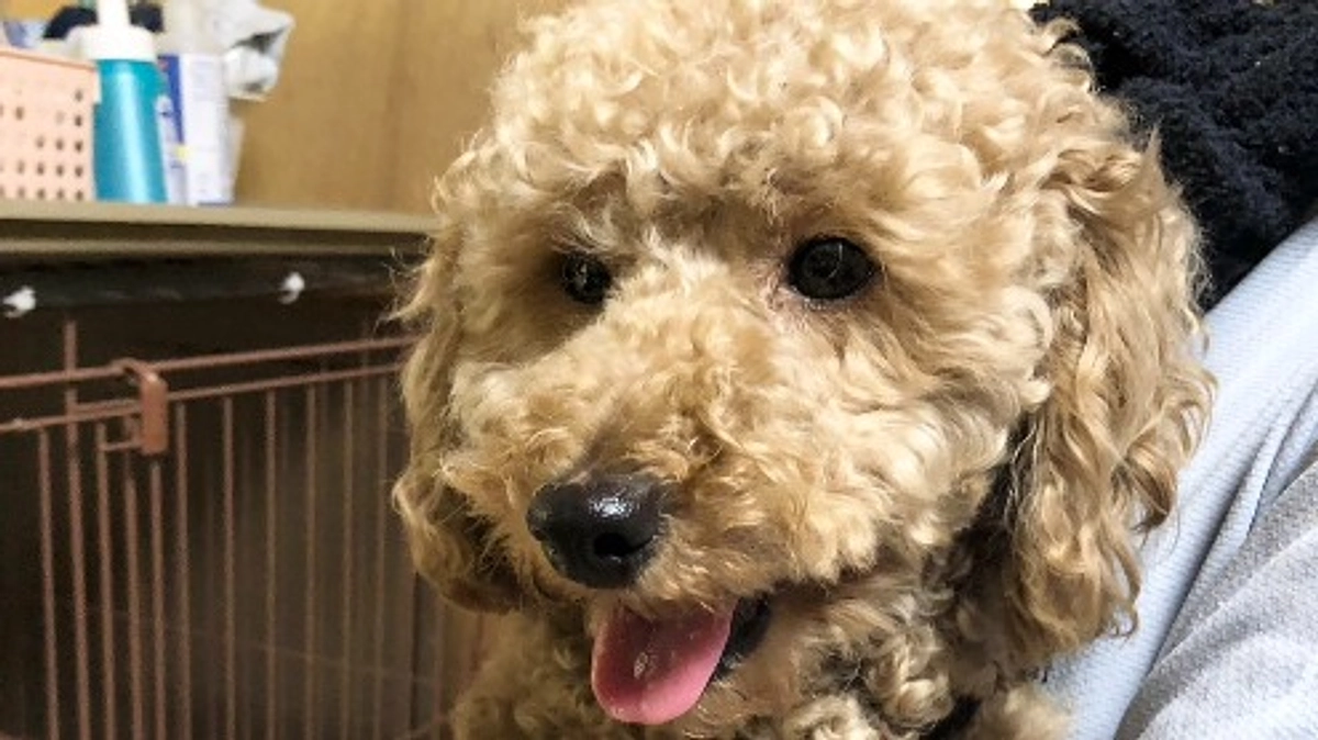 クルの近況報告 6/12