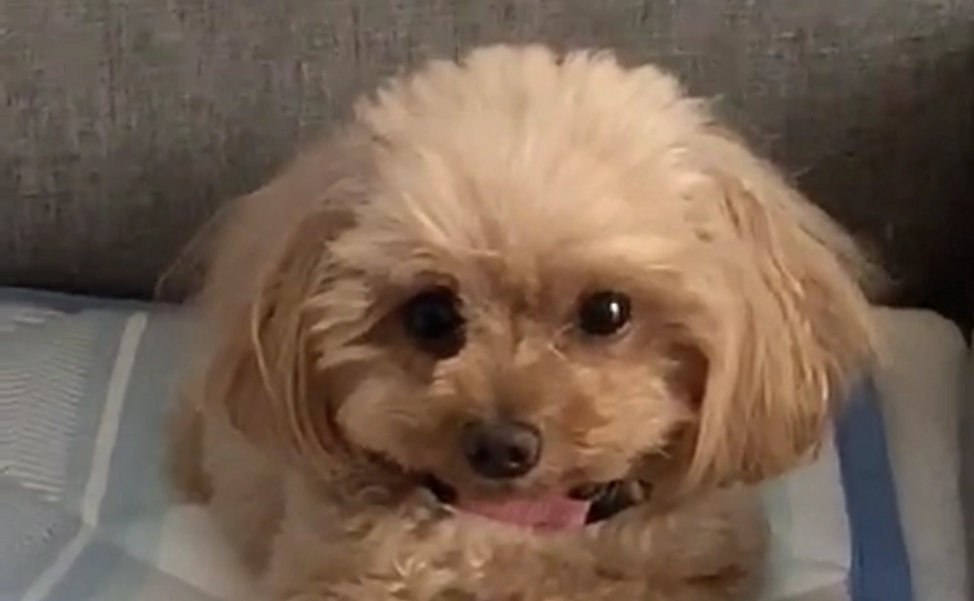 ご支援心より感謝致します　1