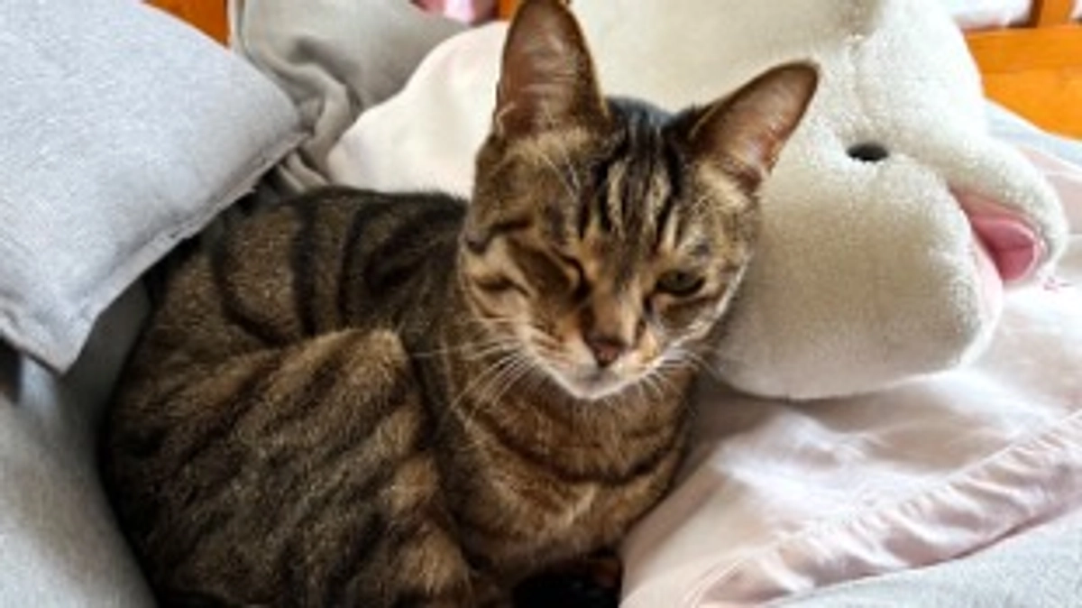 【今日のなっちゃん】6月7日