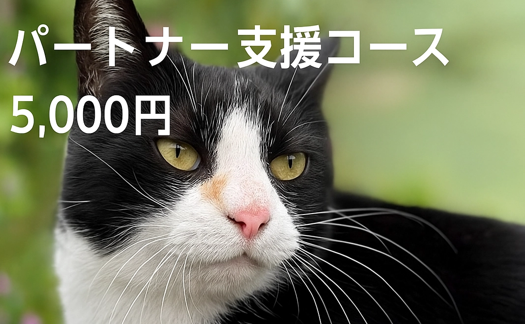 パートナー支援コース5000円