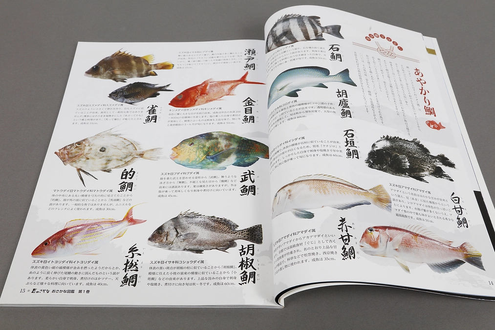 ネクストゴールに関する活動報告（おさかな図鑑の寄贈について）