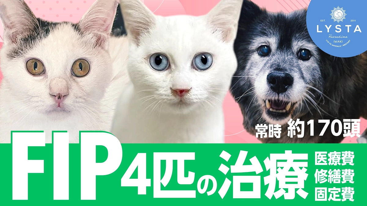 インターネットの手続きが苦手な方へ