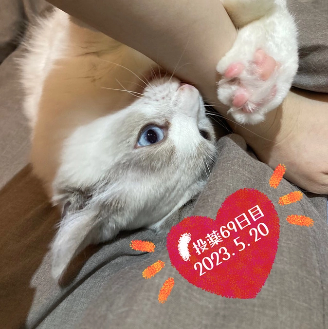 投薬６９日目(2023.5.20)&ご支援のお知らせ