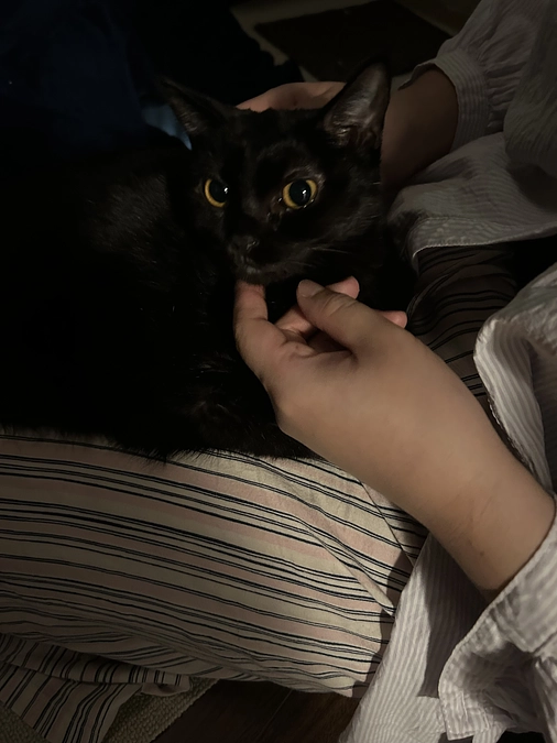 むぅちゃんの闘病日記②