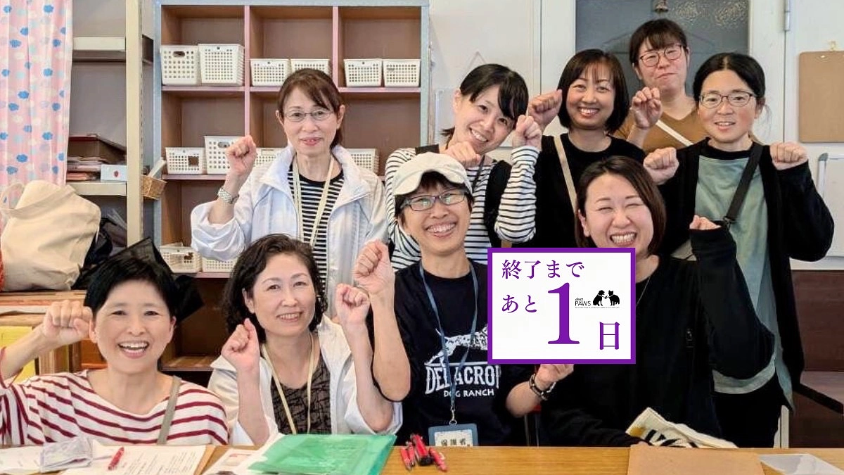 【あと1日！】最後まで見守っていただけると嬉しいです。