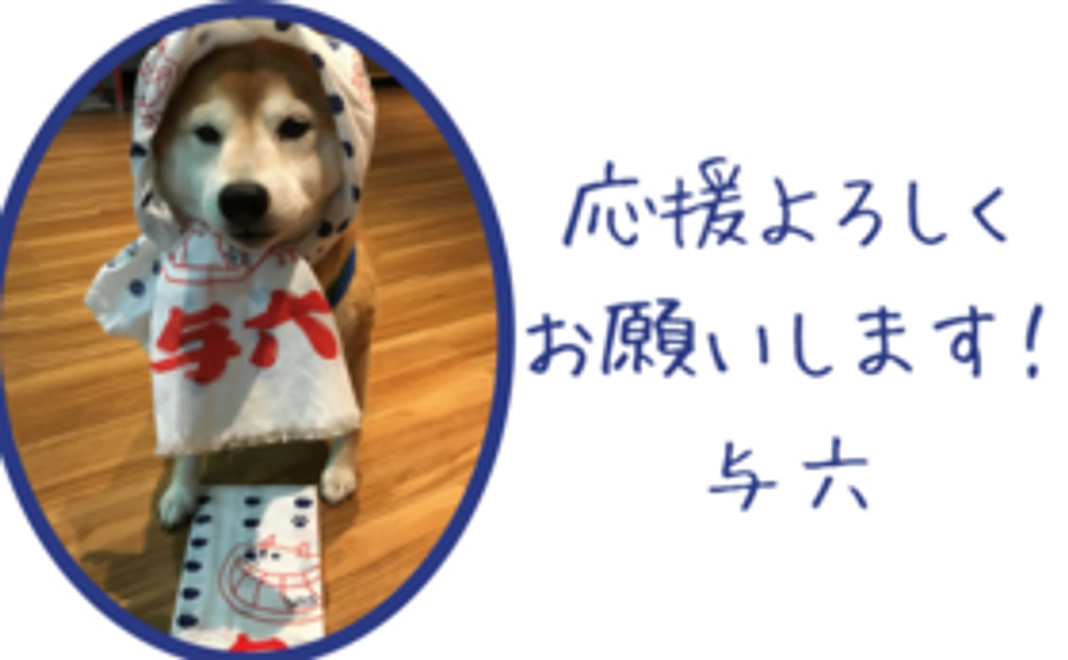 手ぬぐいで熱く応援