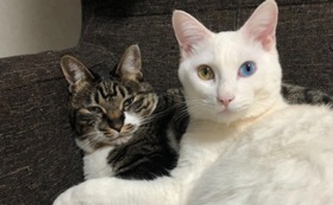 ☆ポストカード☆