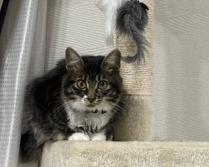 10月25日、投薬32日目です💊