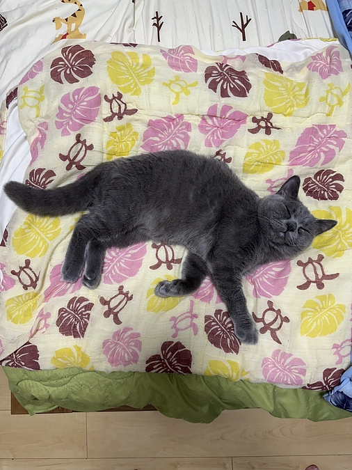 残りあと7時間！