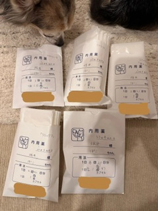 残り2日となります💦