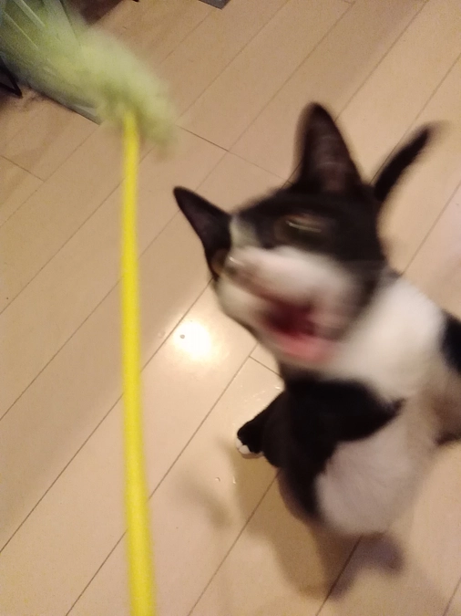 元気に育っています。