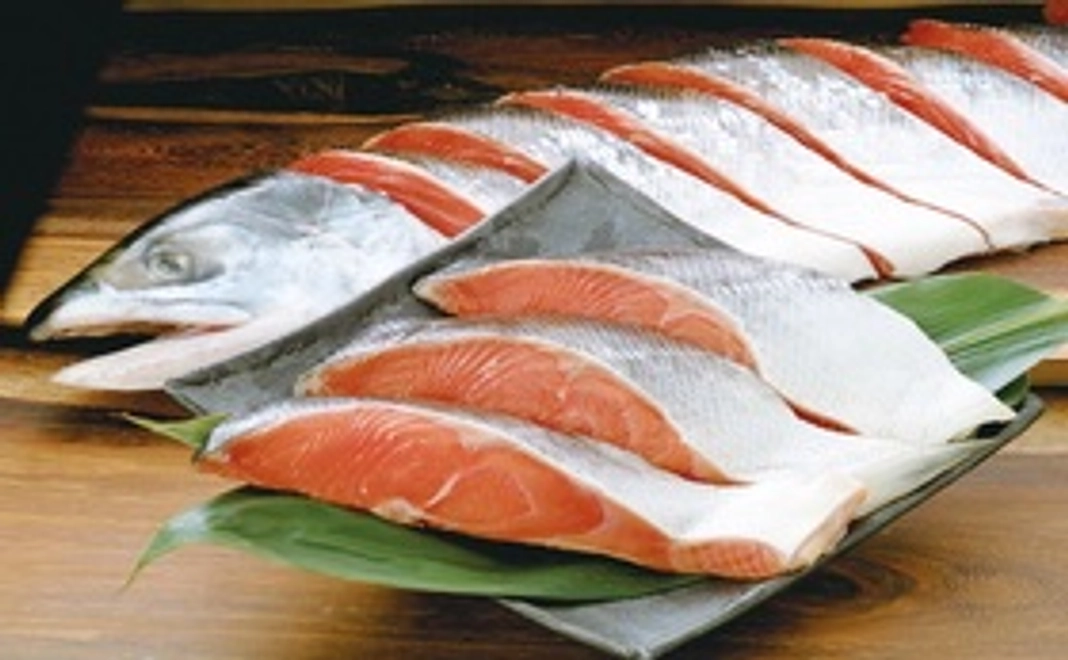 【新鮮・旬の鮭まるごと1本分＆ホタテセット！】