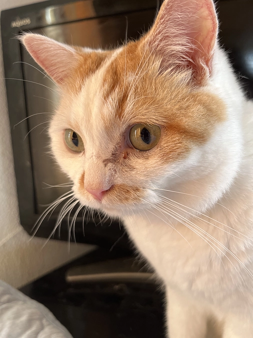 【明日まで】38日目の朝