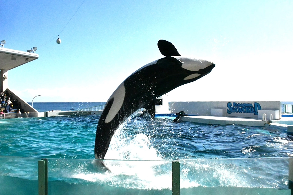 秋の旅行に行ってきました。