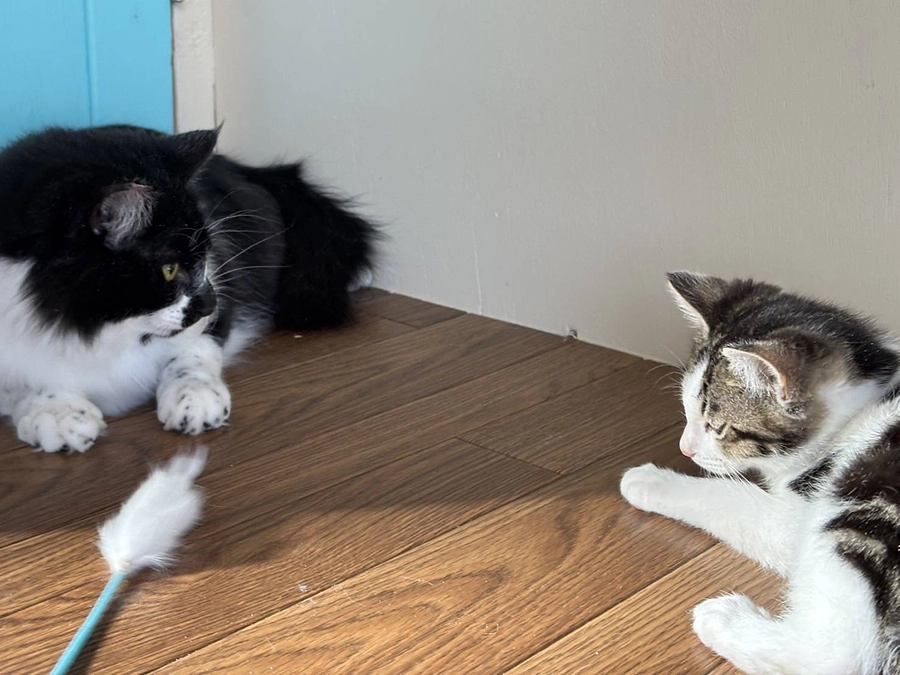 今年も大変お世話になりました！