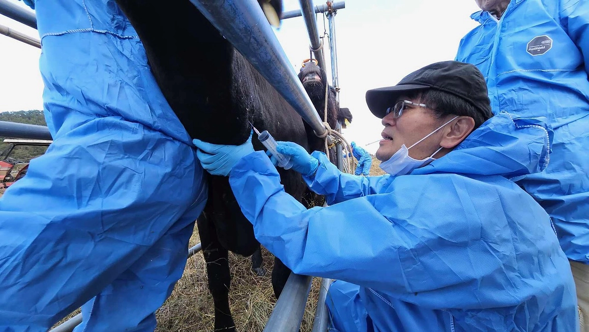 第27回の総合調査を実施しました