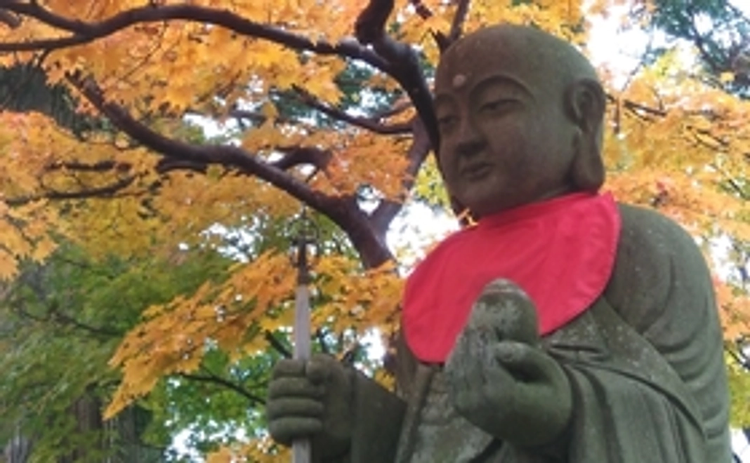 田舎家復興祈願コース