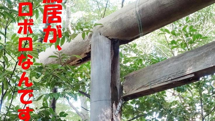 【浜松市】 縣居(あがたい)神社の鳥居を建て直したい!