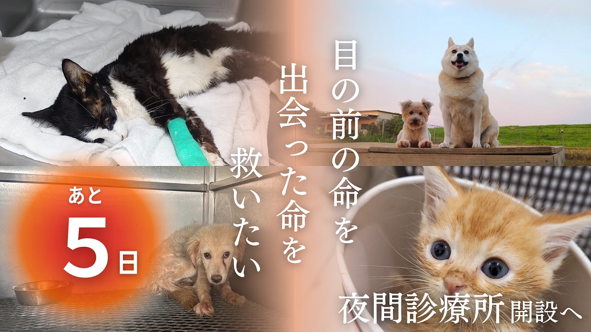 残り【5日】皆様よりいただいた応援コメントのご紹介