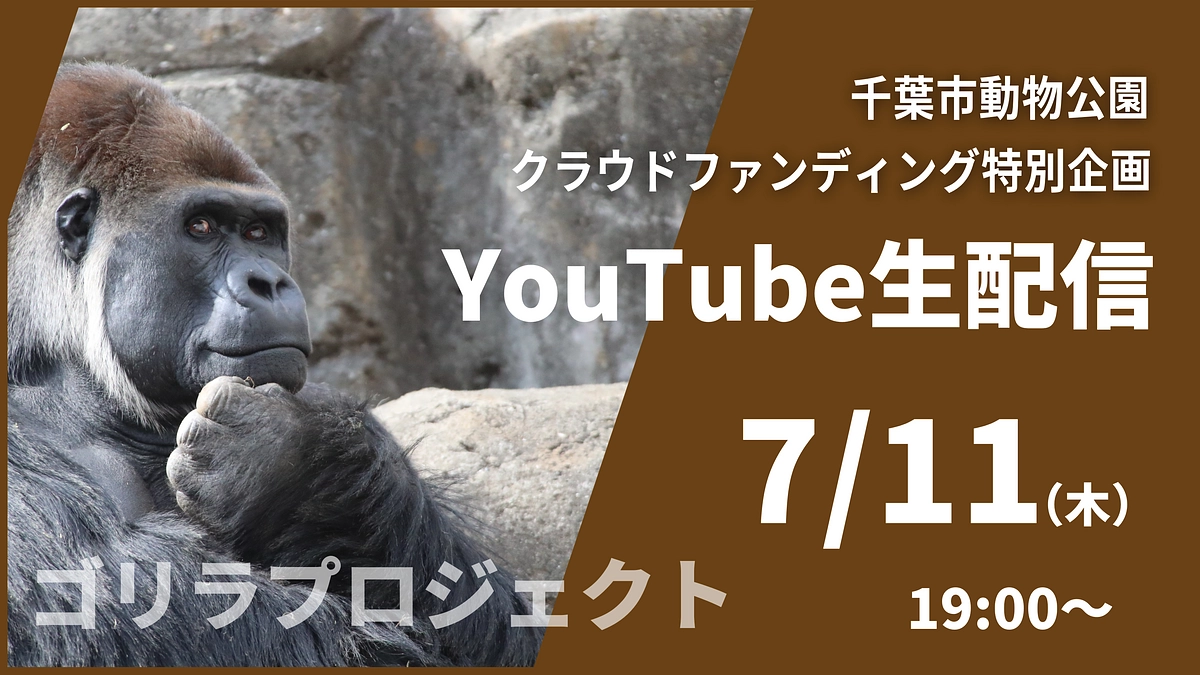 【特別企画 YouTube生配信のお知らせ】今週7/11（木）19:00~です、お見逃しなく！