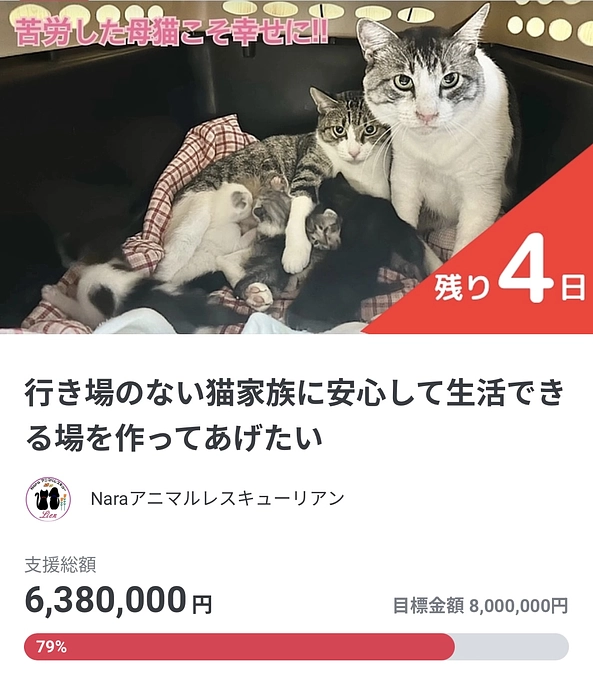 余命宣告されました