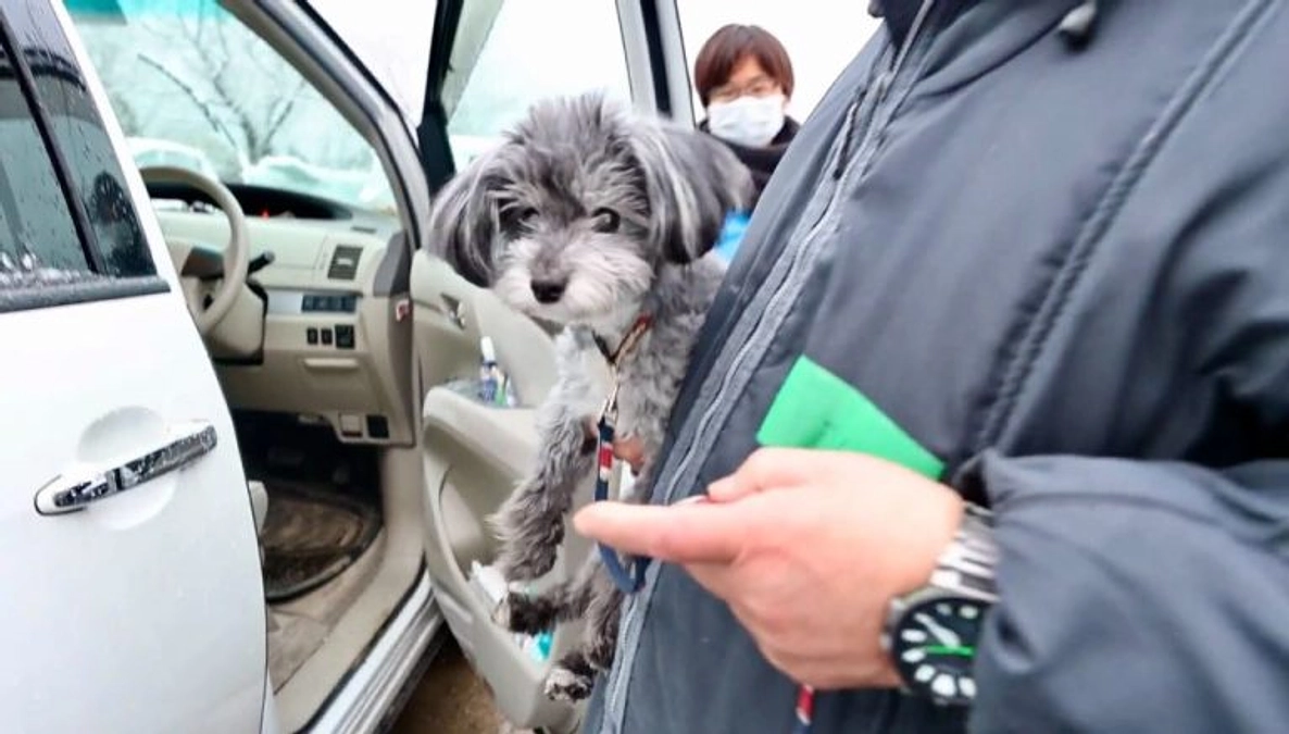 ペットの日中預かり⽀援「わんにゃんデイケアハウス珠洲」を開始！