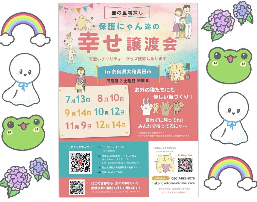 一夜明けて本日は譲渡会です🐱