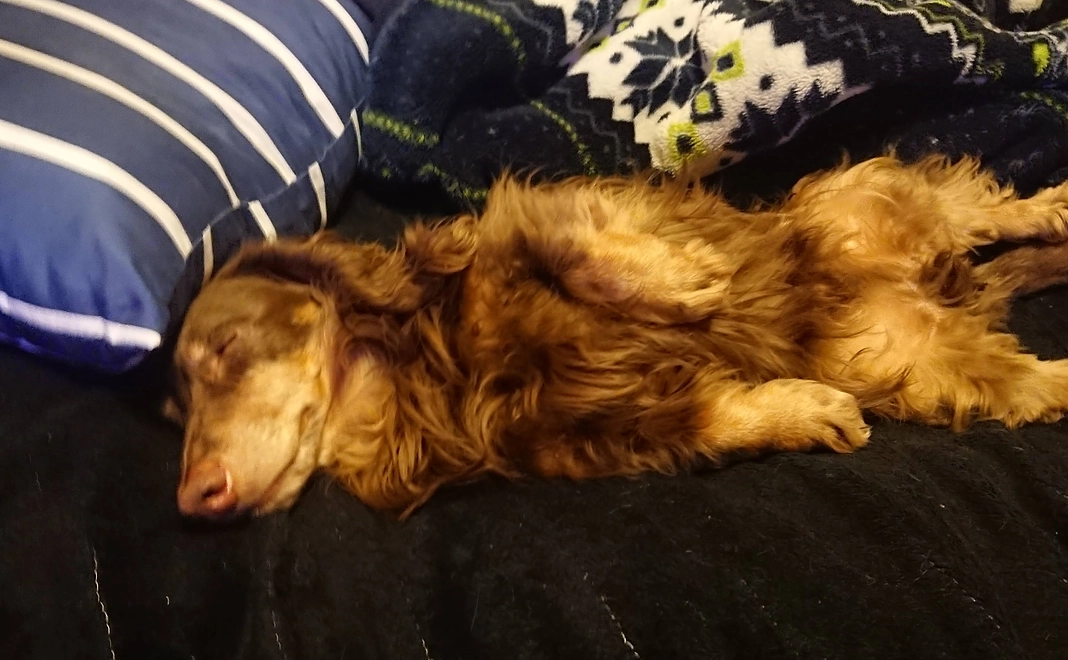 感謝のメール及び近状報告