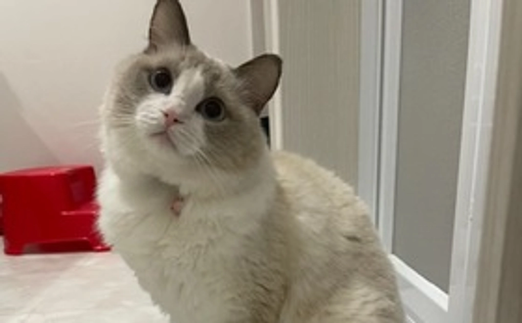 頑張れそらまる!! １