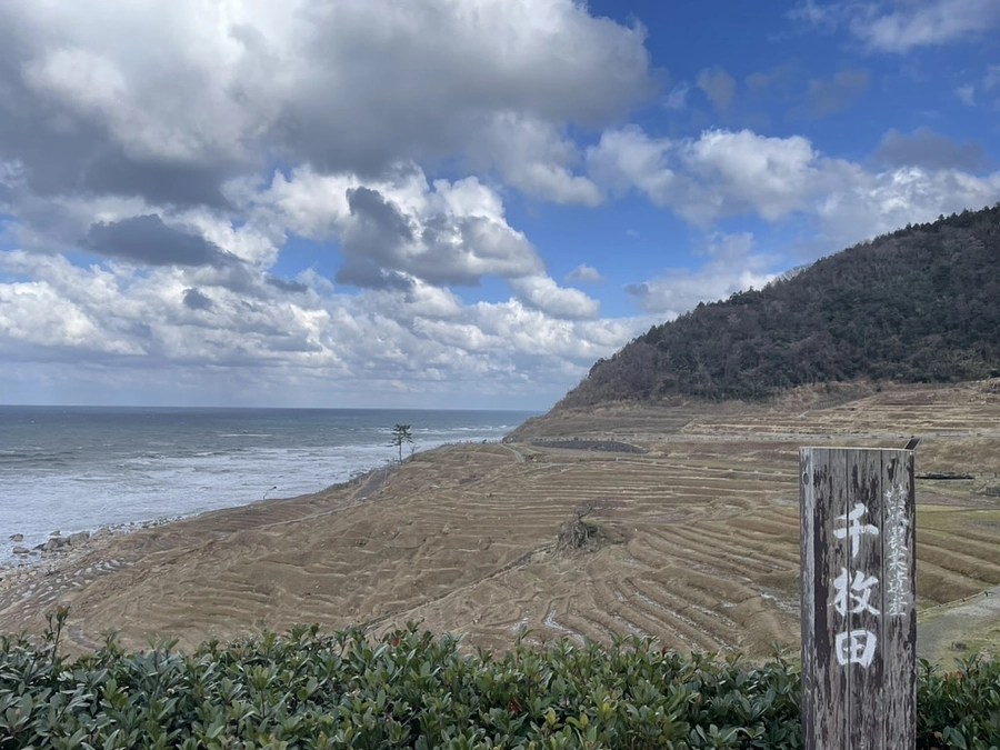 能登の白米千枚田を訪問しました