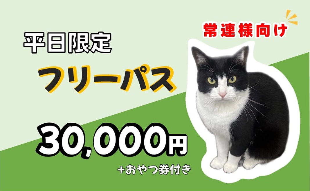 【常連様向け】平日限定フリーパス