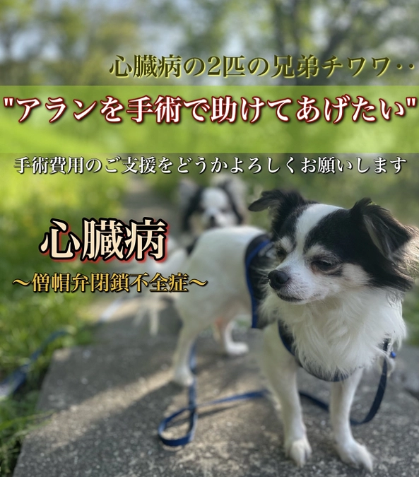 X(旧Twitter)のアカウントができました