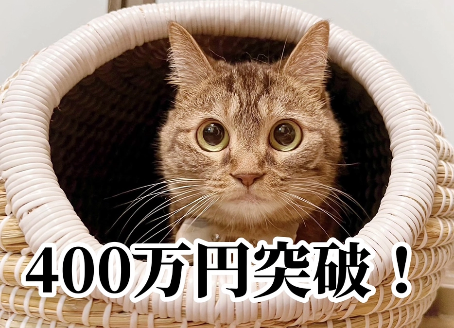 目標金額の40%を突破しました！