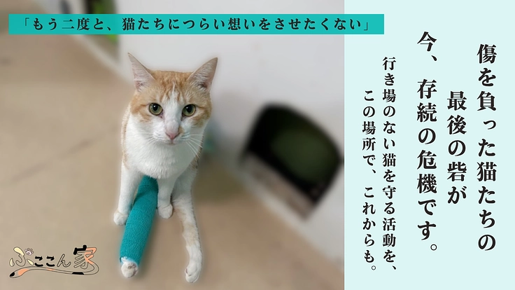心や体に傷を負い行き場を失った猫たちの『いのち』を最期まで守る為に