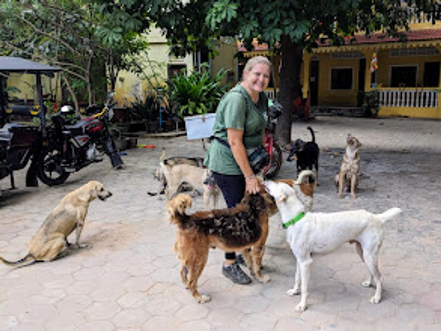 【プロジェクト完全終了真近】寄付金の手渡し終了しました